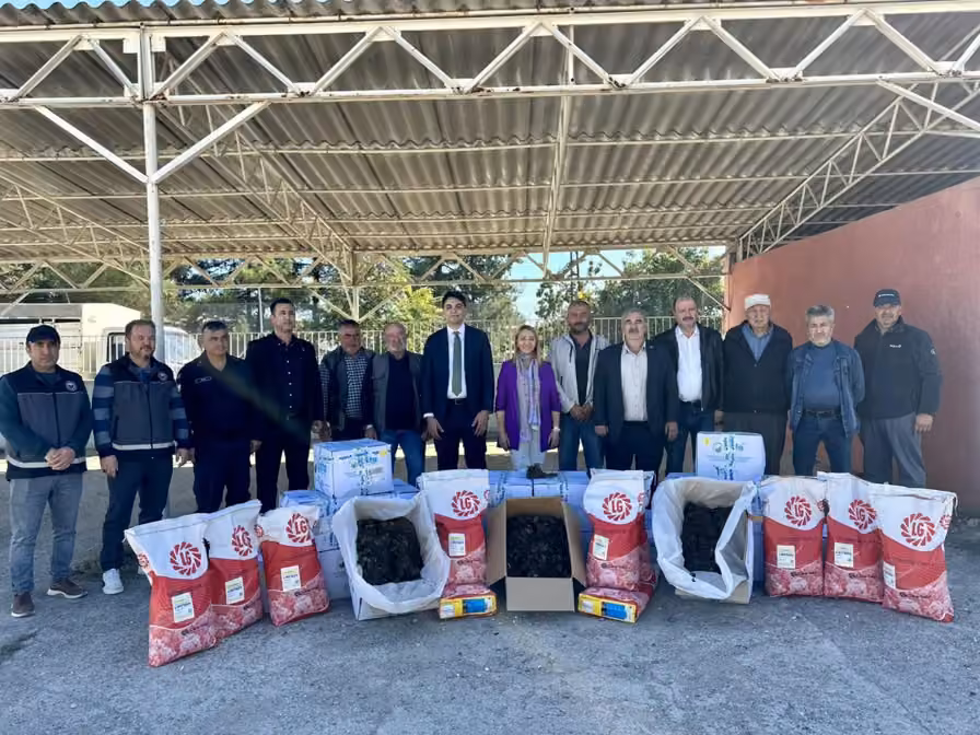 Bilecik’te üreticilere 41 bin 750 çilek fidesi desteği