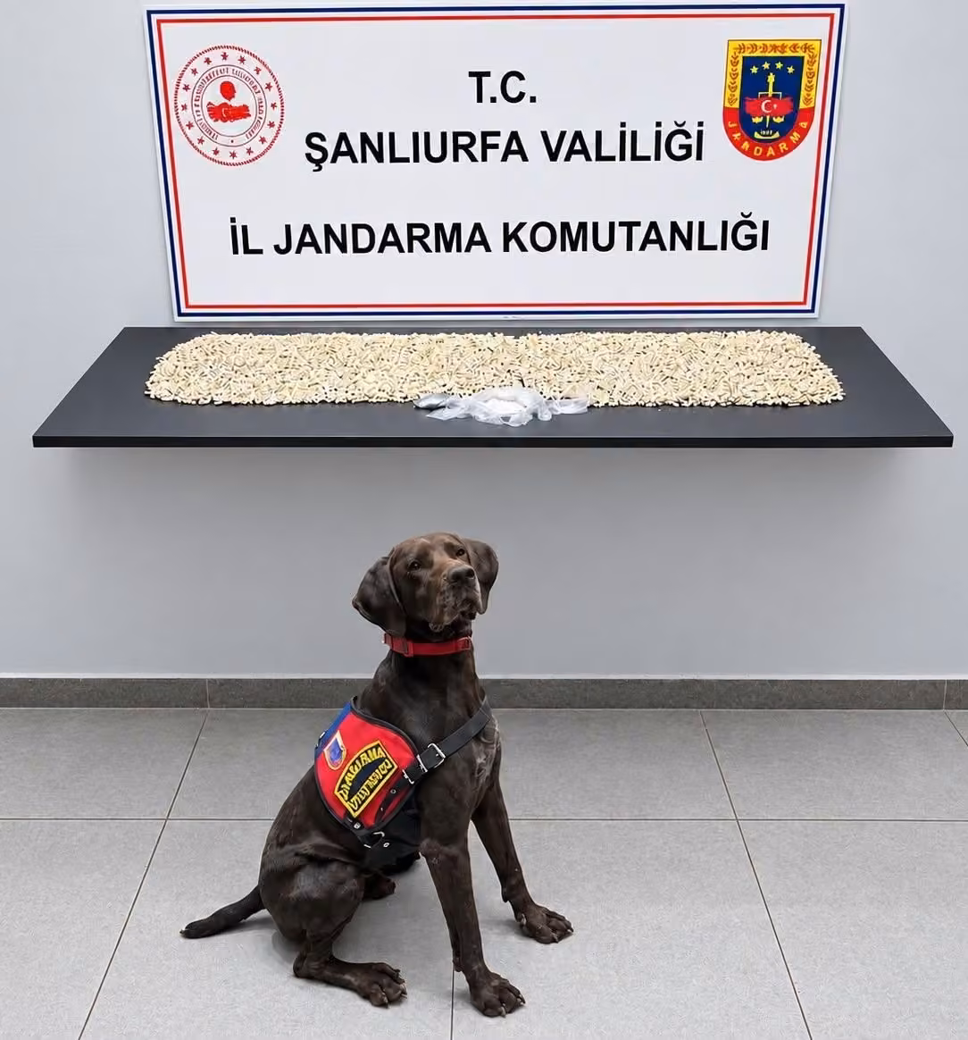 Şanlıurfa’da 14 bin 410 Captagon ele geçirildi