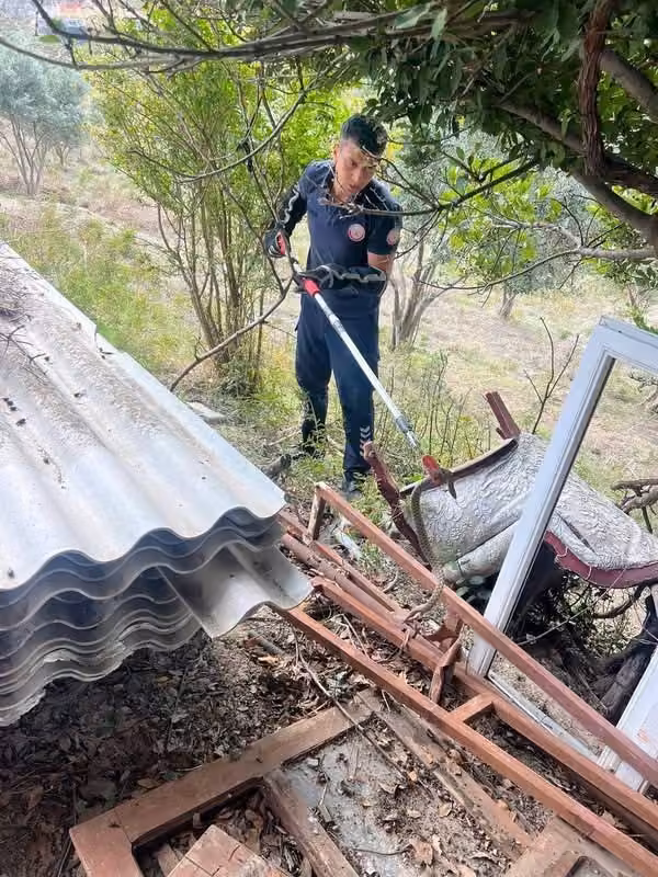 Antakya’da bahçede görülen yılan doğal yaşam alanına bırakıldı