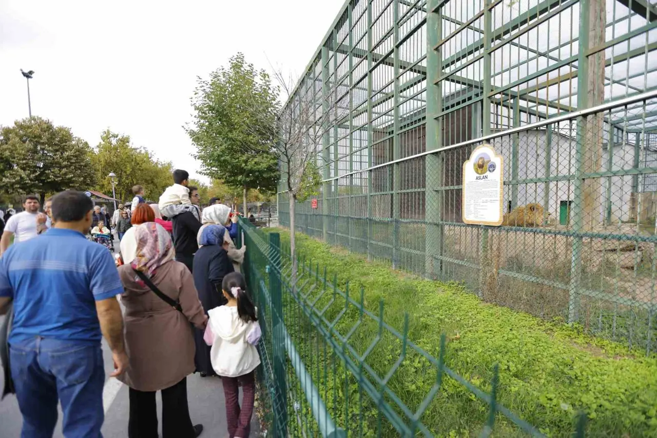 Ücretsiz hayvanat bahçesi uygulamasına yoğun ilgi