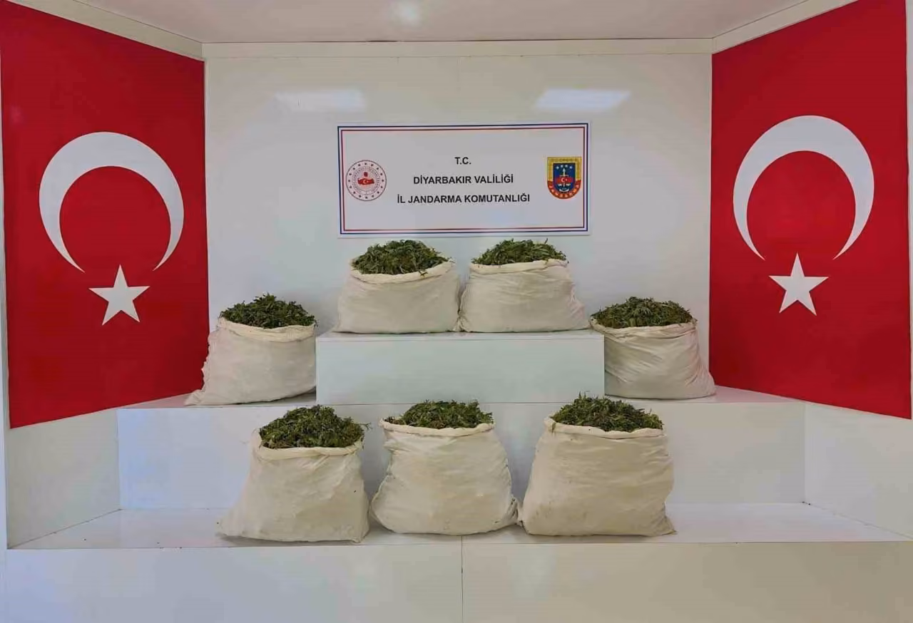 Diyarbakır’da 59 bin kök kenevir ile 109 kilo uyuşturucu ele geçirildi