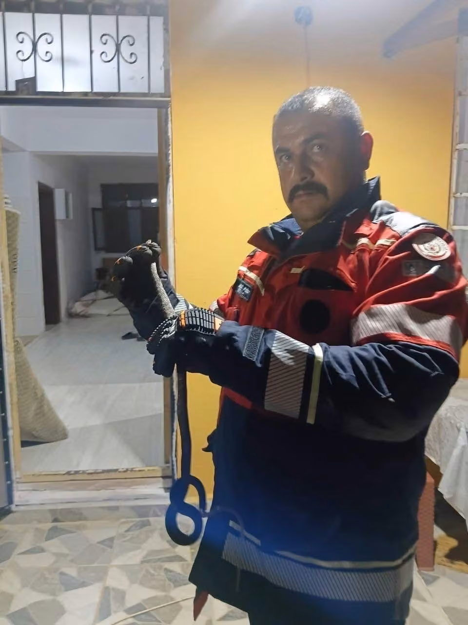 Hassa’da evde görülen yılan itfaiye ekiplerince yakalandı