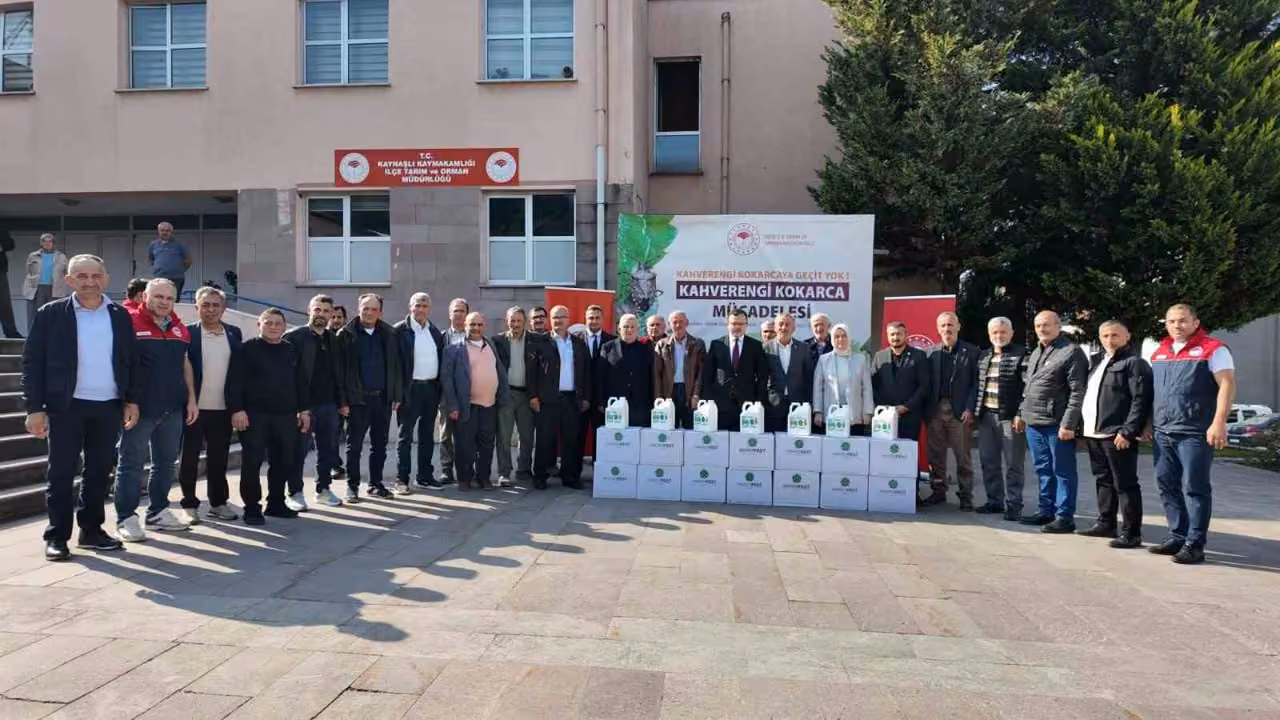 Fındık üretimini tehdit eden kokarcaya karşı önlem