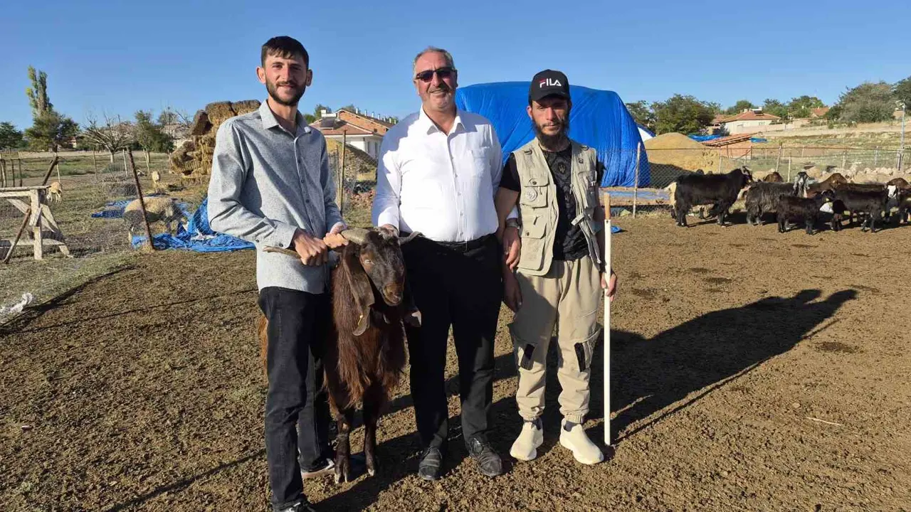 Çobanlık yapıyordu, şimdi kendi sürüsünün başına Afgan çoban getirdi