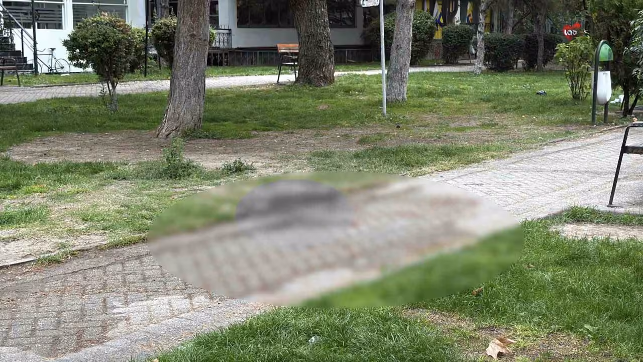 Alkol içerken çıkan tartışma cinayetle bitti