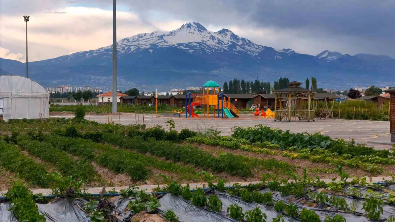 Başkan Büyükkılıç’tan Pınarbaşı kimyonunun tanıtımına ve üretimine destek