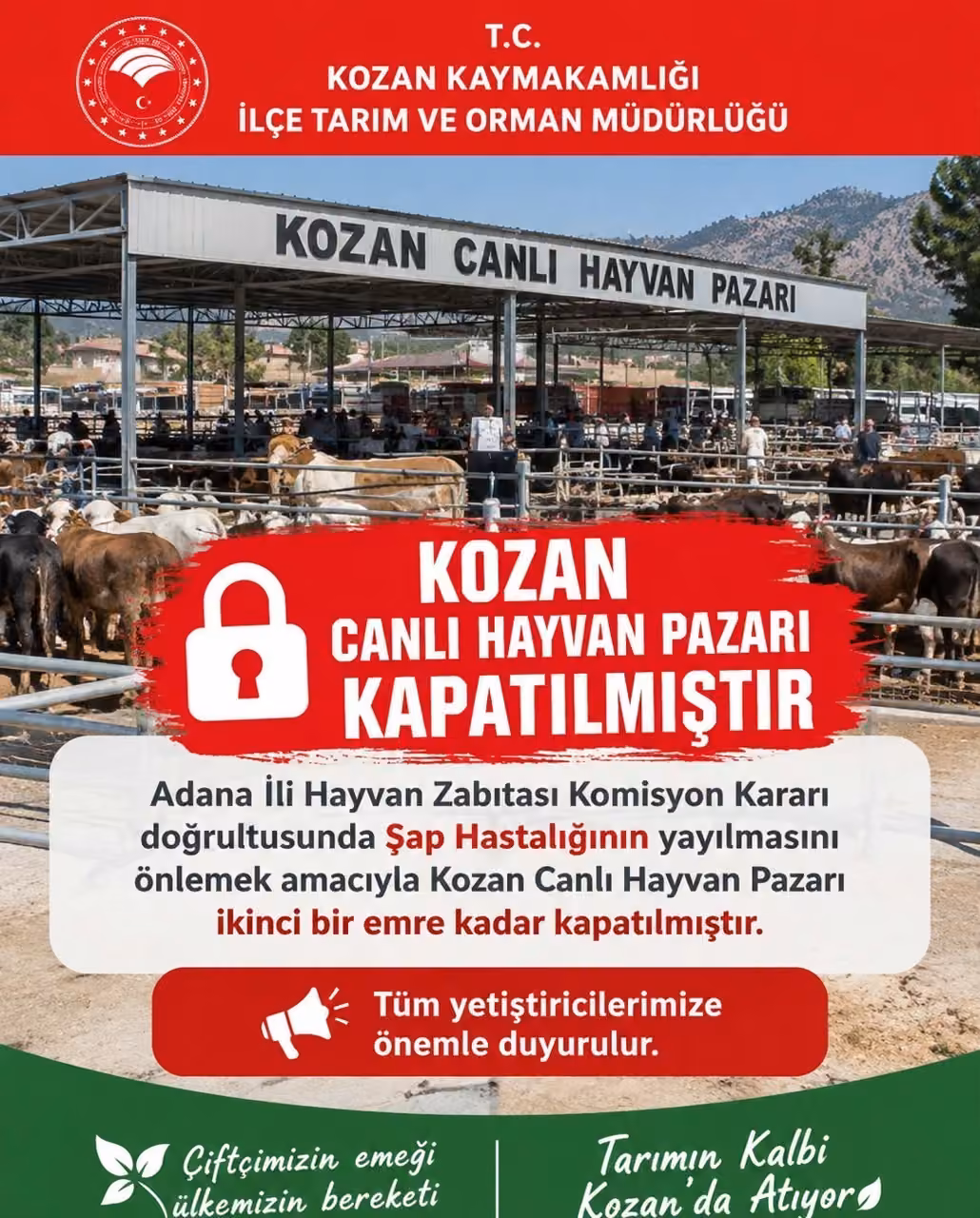Kozan canlı hayvan pazarı şap hastalığı nedeniyle kapatıldı