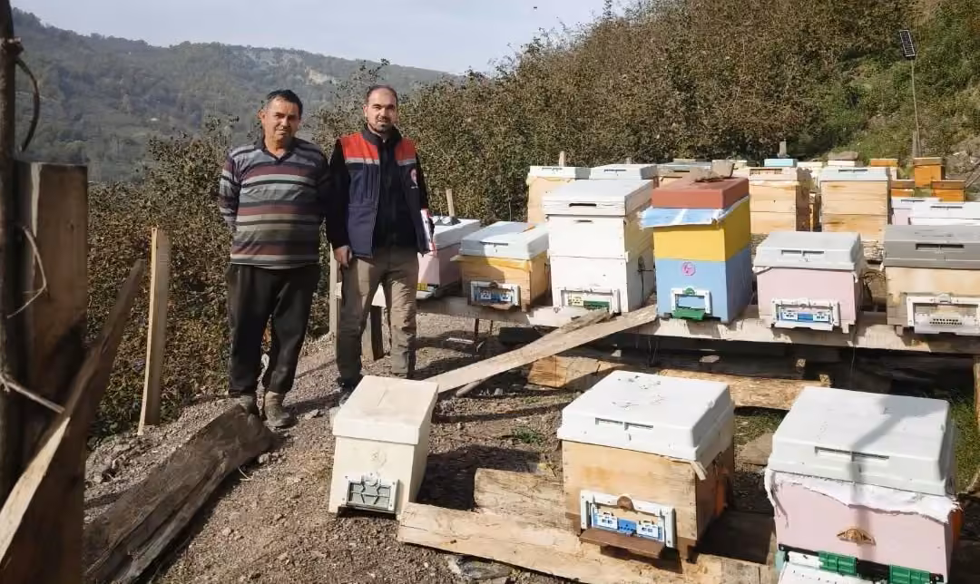 Düzce’de 4 köyde arılı kovan sayımı yapıldı