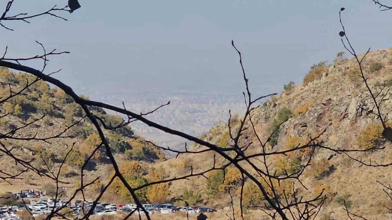 Ortaseki Ormanları’nda sonbahar cümbüşü