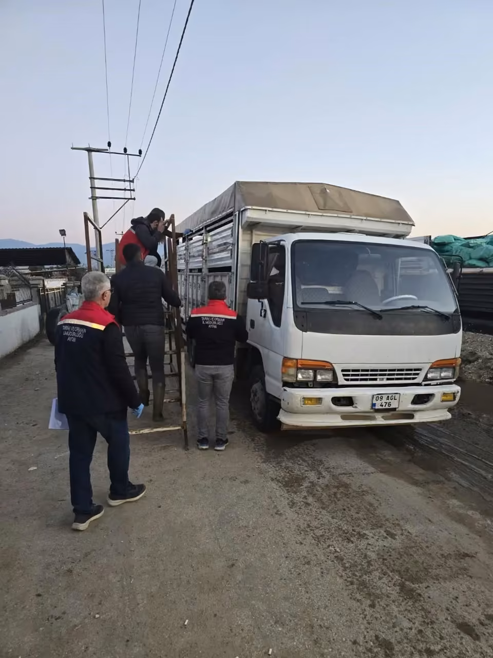 Aydın’da hayvan pazarında sıkı denetim