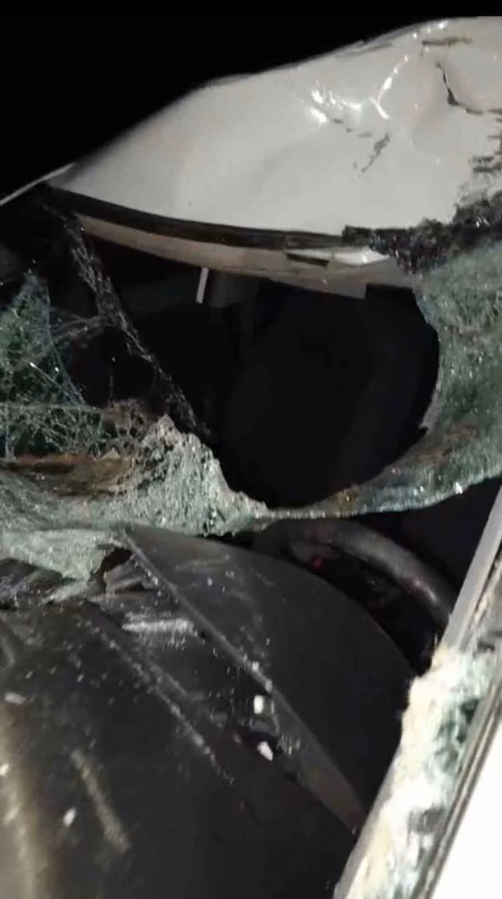Bingöl’de otomobil ineğe çarptı: 4 yaralı