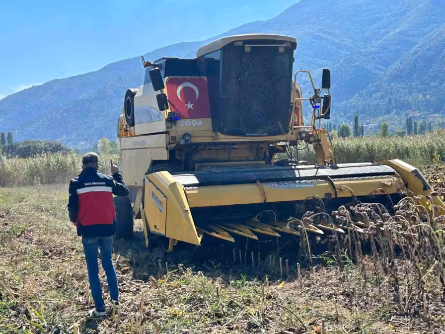 Simav’da Yüzde 75 hibeli ayçiçeğinde hasat kontrolü
