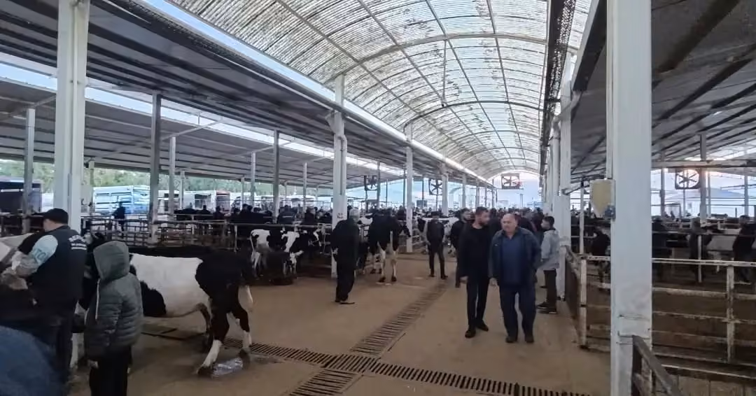 Nazilli Hayvan Pazarı’nda kaçak ve belgesiz hayvanlara geçit yok
