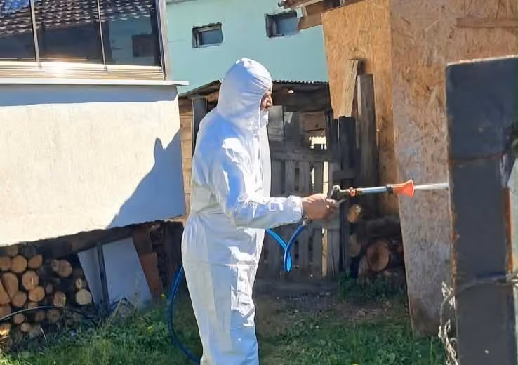 Kahverengi kokarcaya karşı kışlak mücadele